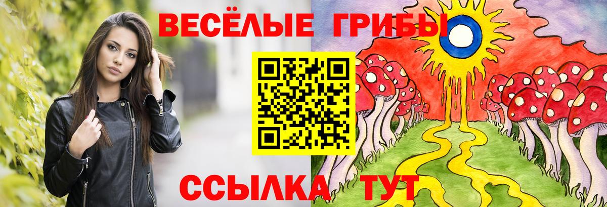 Псилоцибиновые грибы Psilocybine cubensis  Вход с VPN  Уварово 